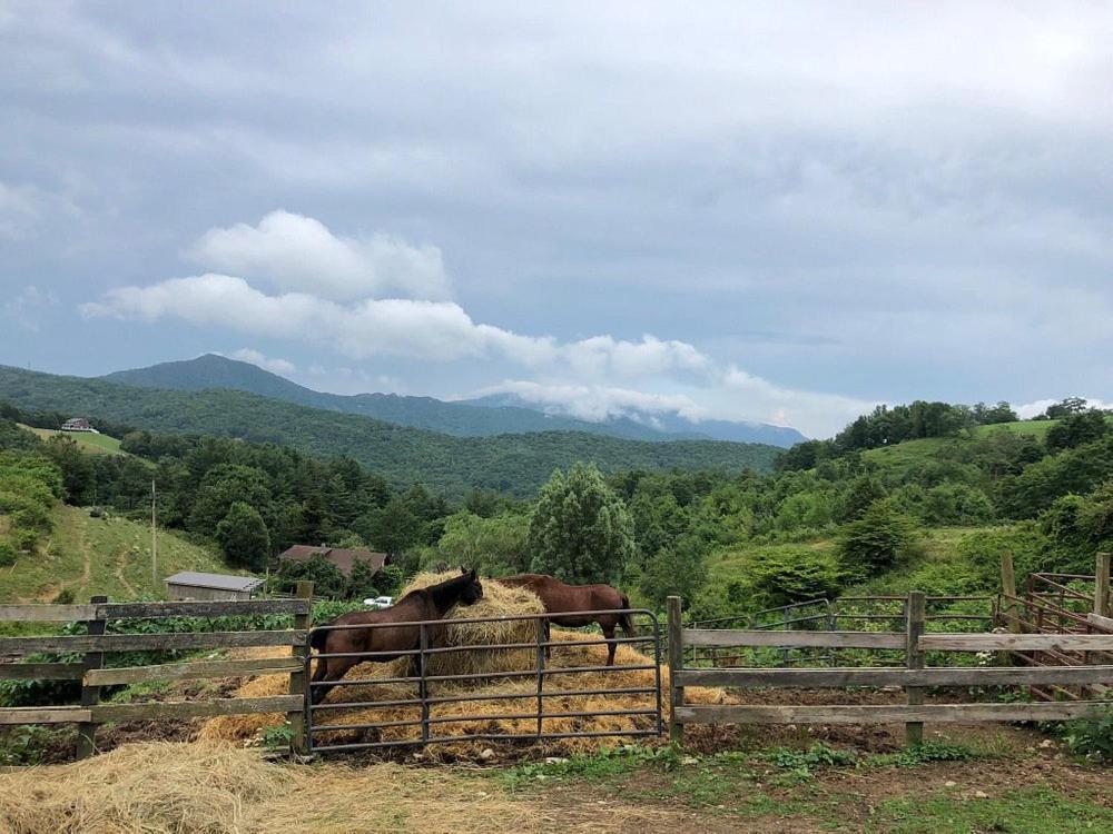 On Top Of The World At Sugar Top Resort Sugar Mountain Bagian luar foto